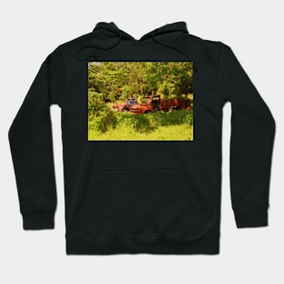 Out To Pasture Hoodie